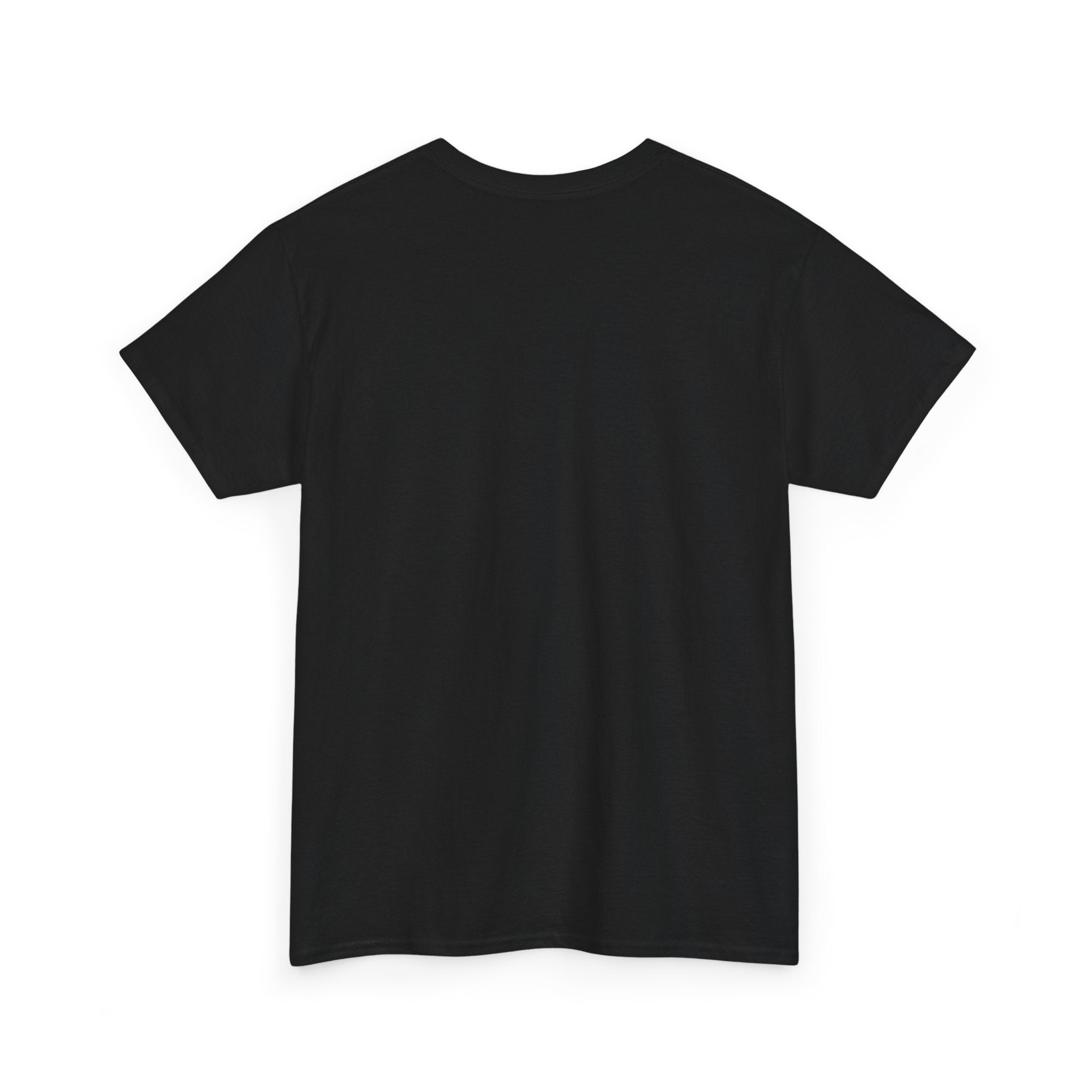 Bad Day at Dancing Rock - Unisex Heavy Cotton Tee