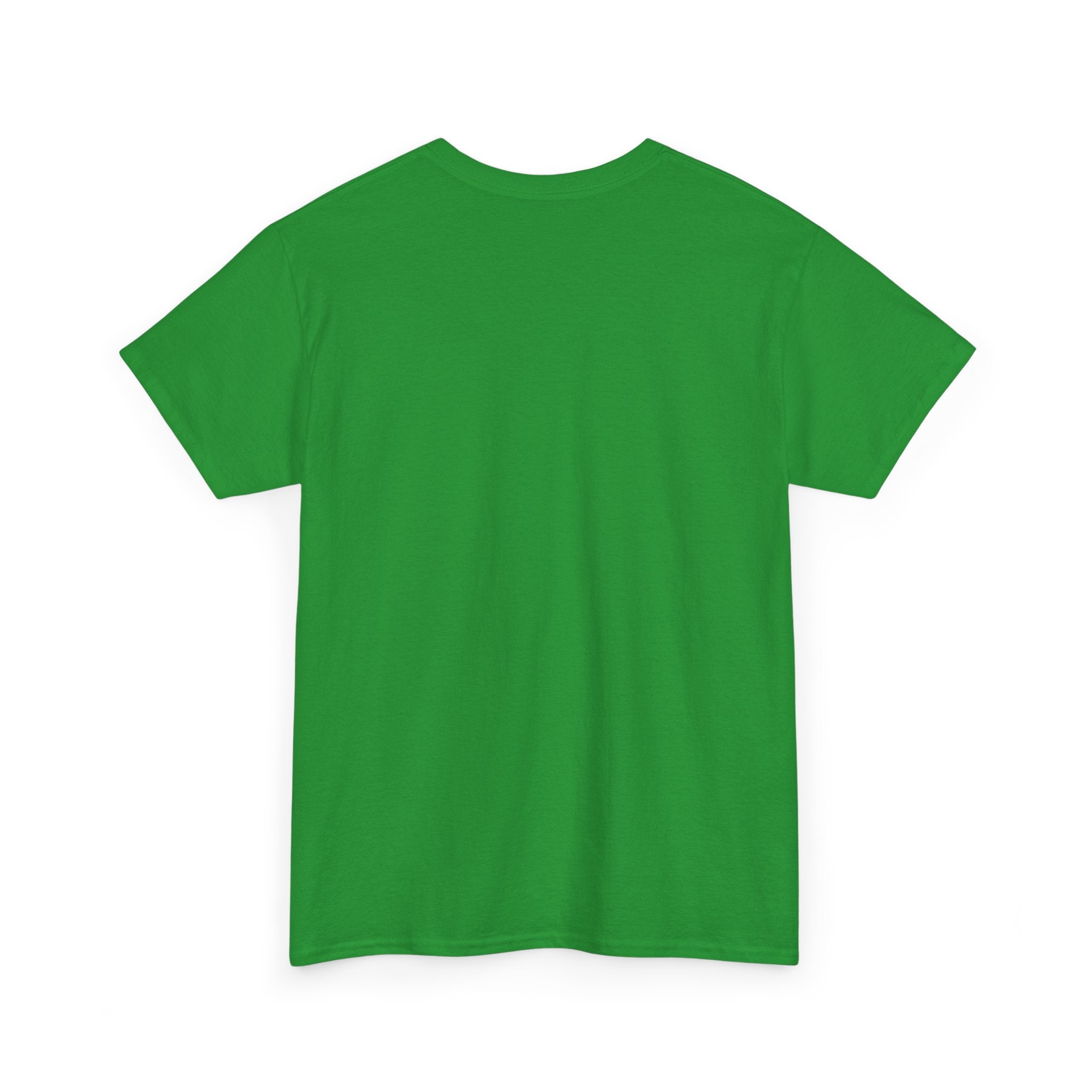 Bad Day at Dancing Rock - Unisex Heavy Cotton Tee
