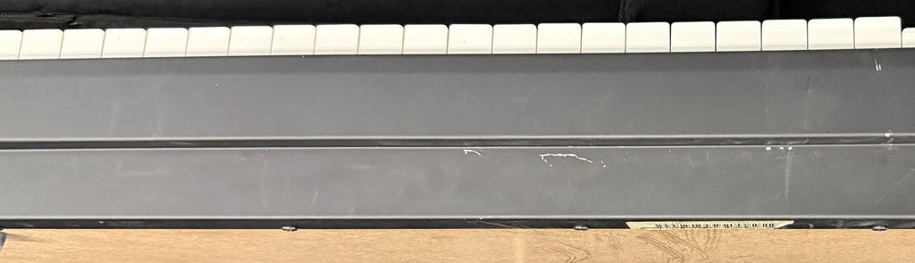 REO Speedwagon - Neal Doughty - Yamaha CP50 Keyboard