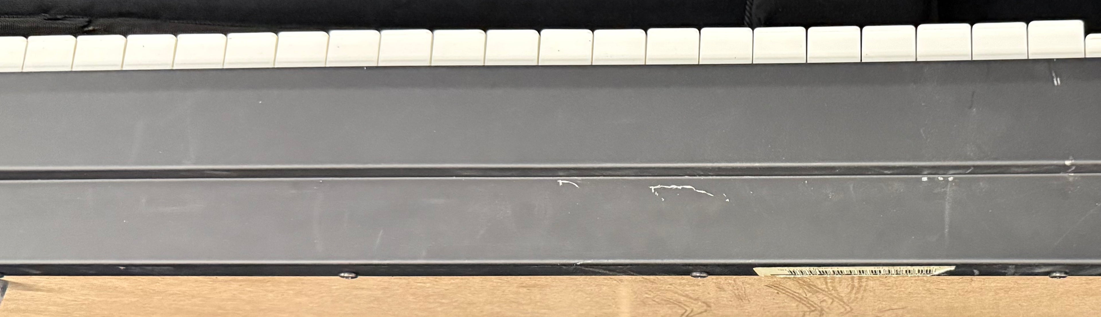 REO Speedwagon - Neal Doughty - Yamaha CP50 Keyboard